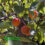 Pruning Fruit Trees In The Fall & Slow Ripening Tomatoes
