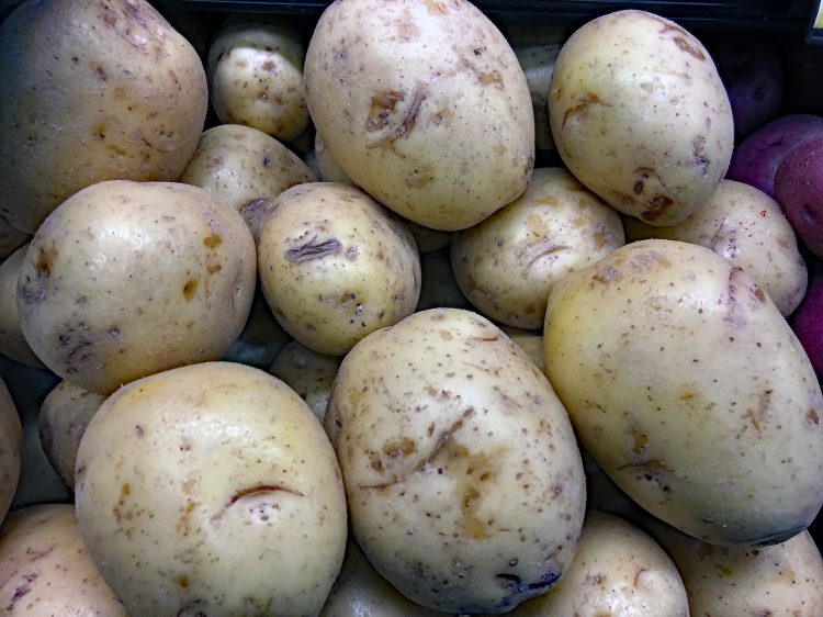 Planting Potatoes By The Moon The Dirt Gardener